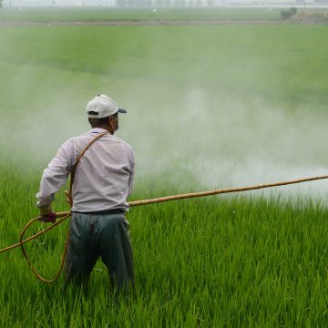 Agricultural chemicals and their quality control